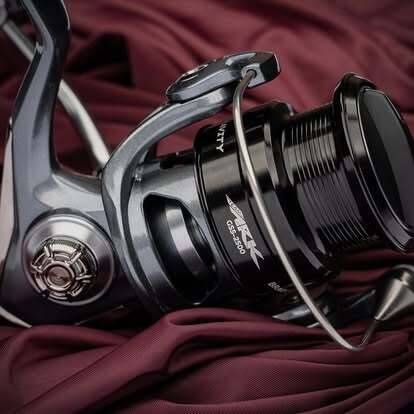 468959766 18338177065145966 8365253578686383029 n