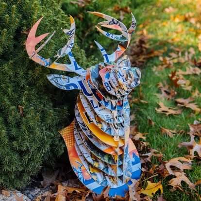 473601276 525489570501807 5022922565604821731 n