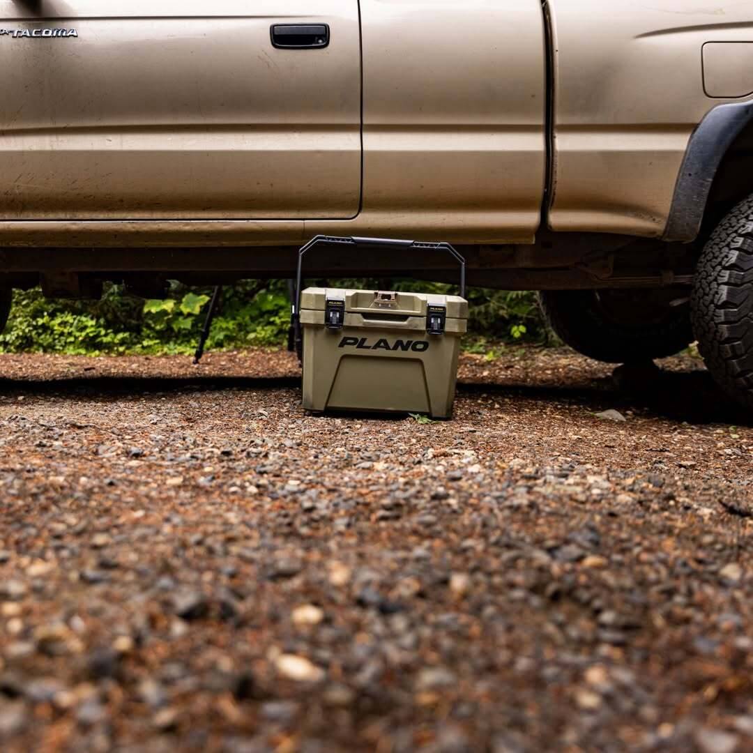 490292534 1291012239160081 2533420757649535026 n