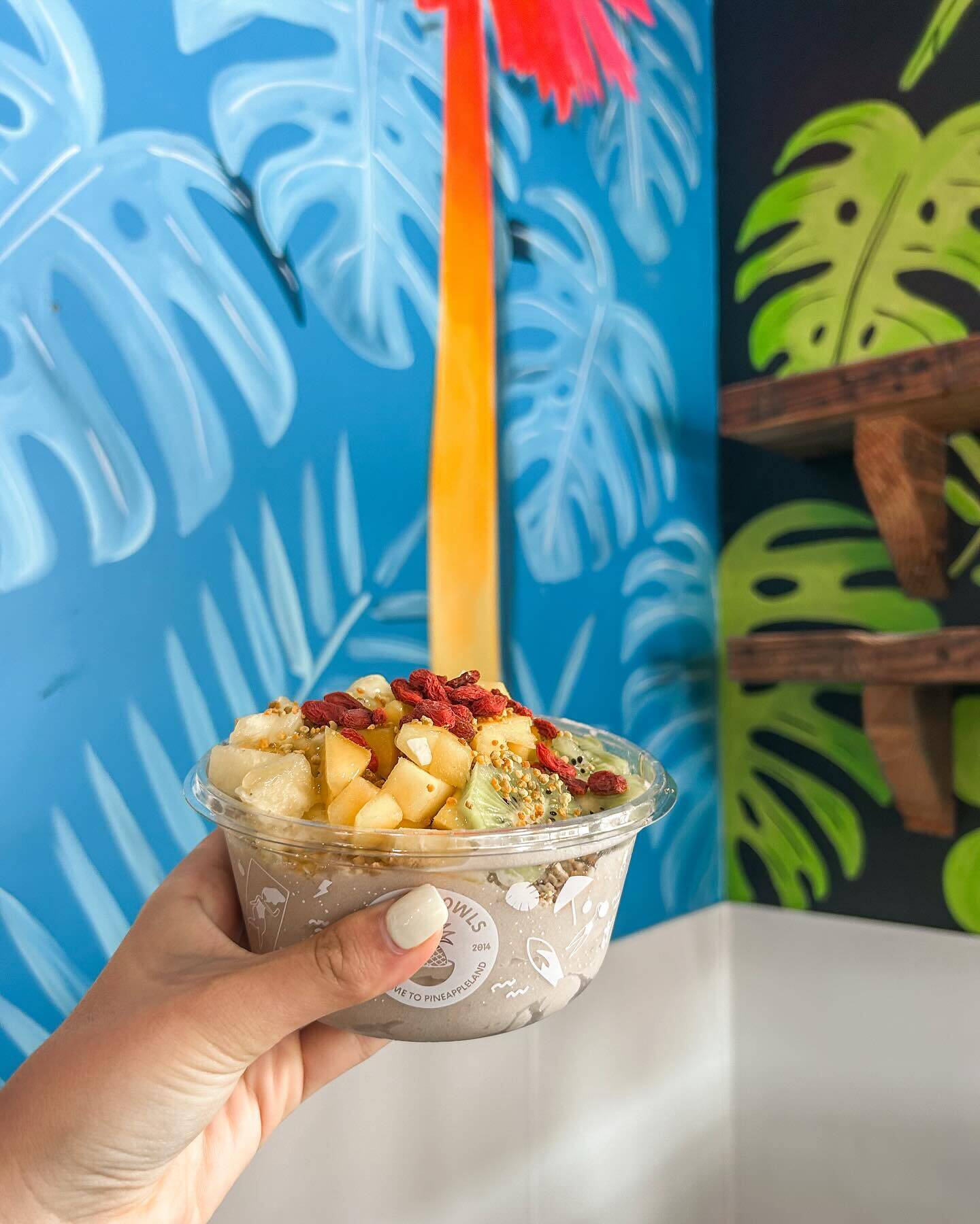 508884778 18315882883231799 554774773925172705 n