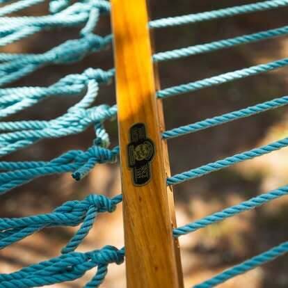 510721142 1158122836333310 1260584170595150763 n