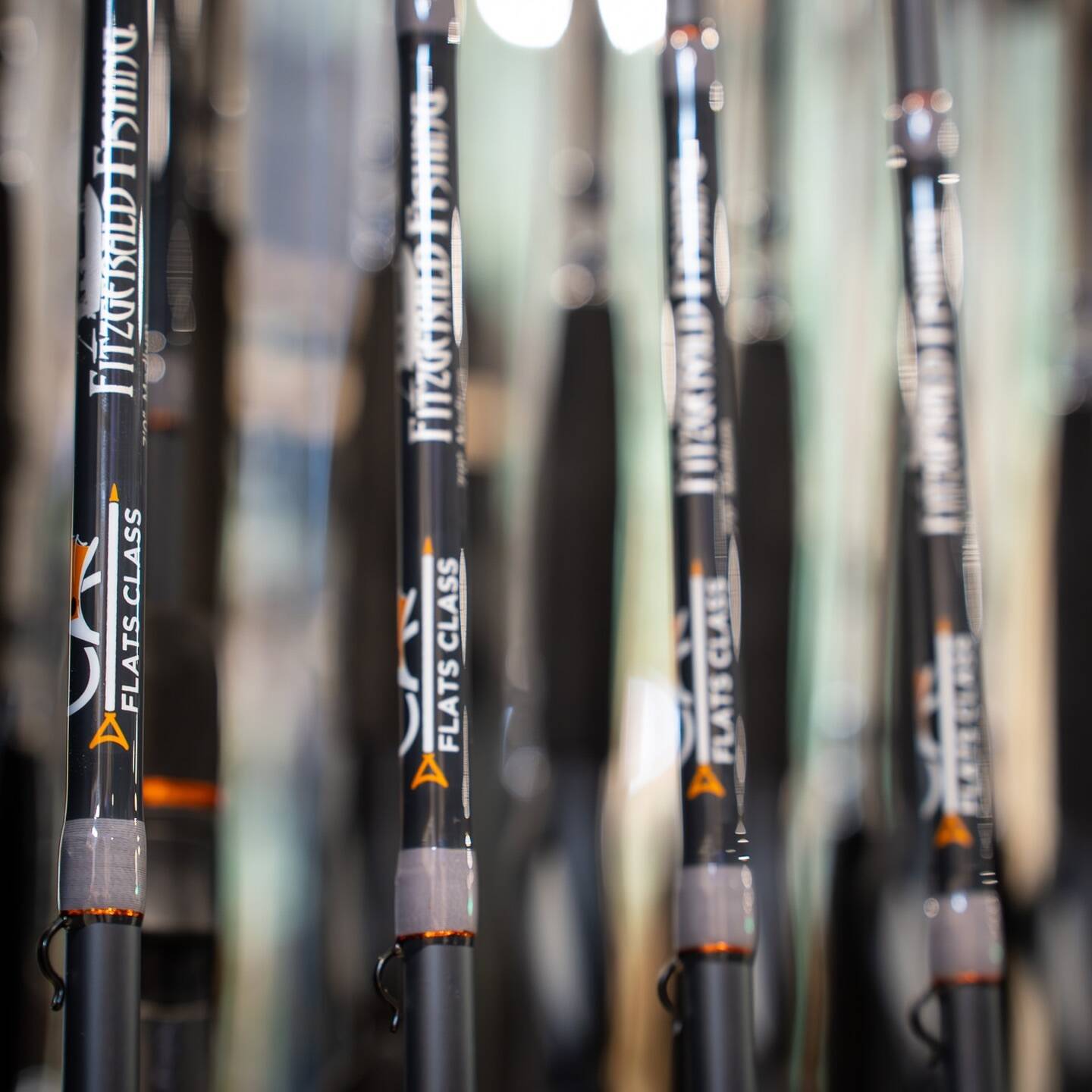 521572169 18416335237103353 6803916760517245761 n