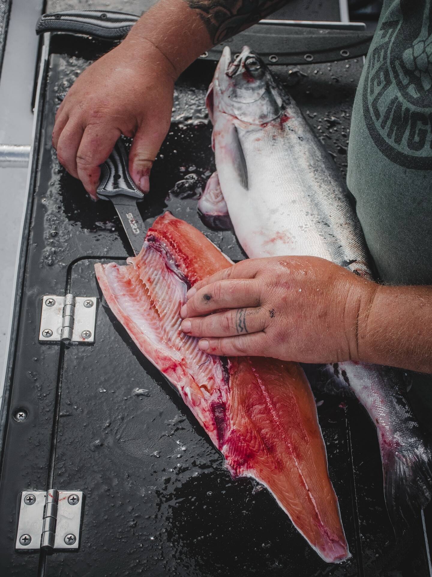 542369897 18139205569426349 6034973026887234937 n