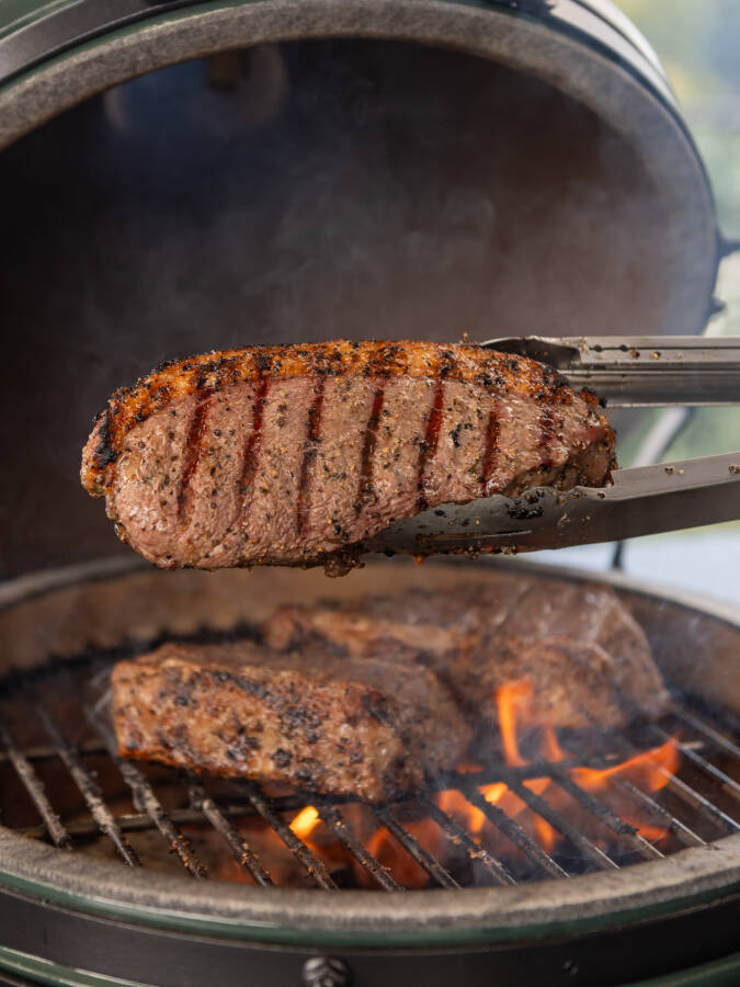 558475409 1685612966940098 729453474726251833 n