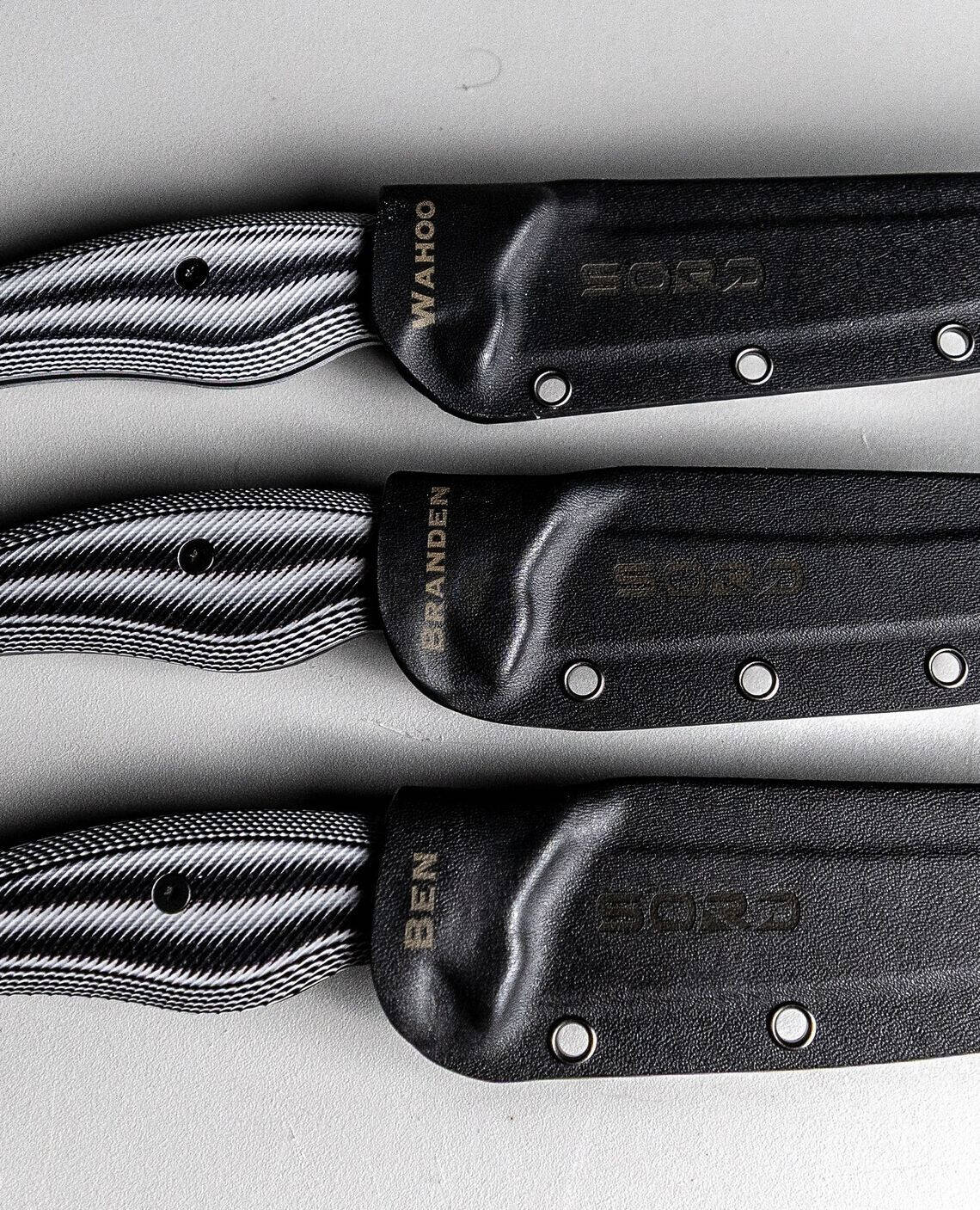 569122948 1564576248105935 8305503079508321766 n