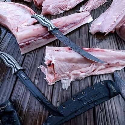 574534905 1569786994251527 4091945613095599067 n