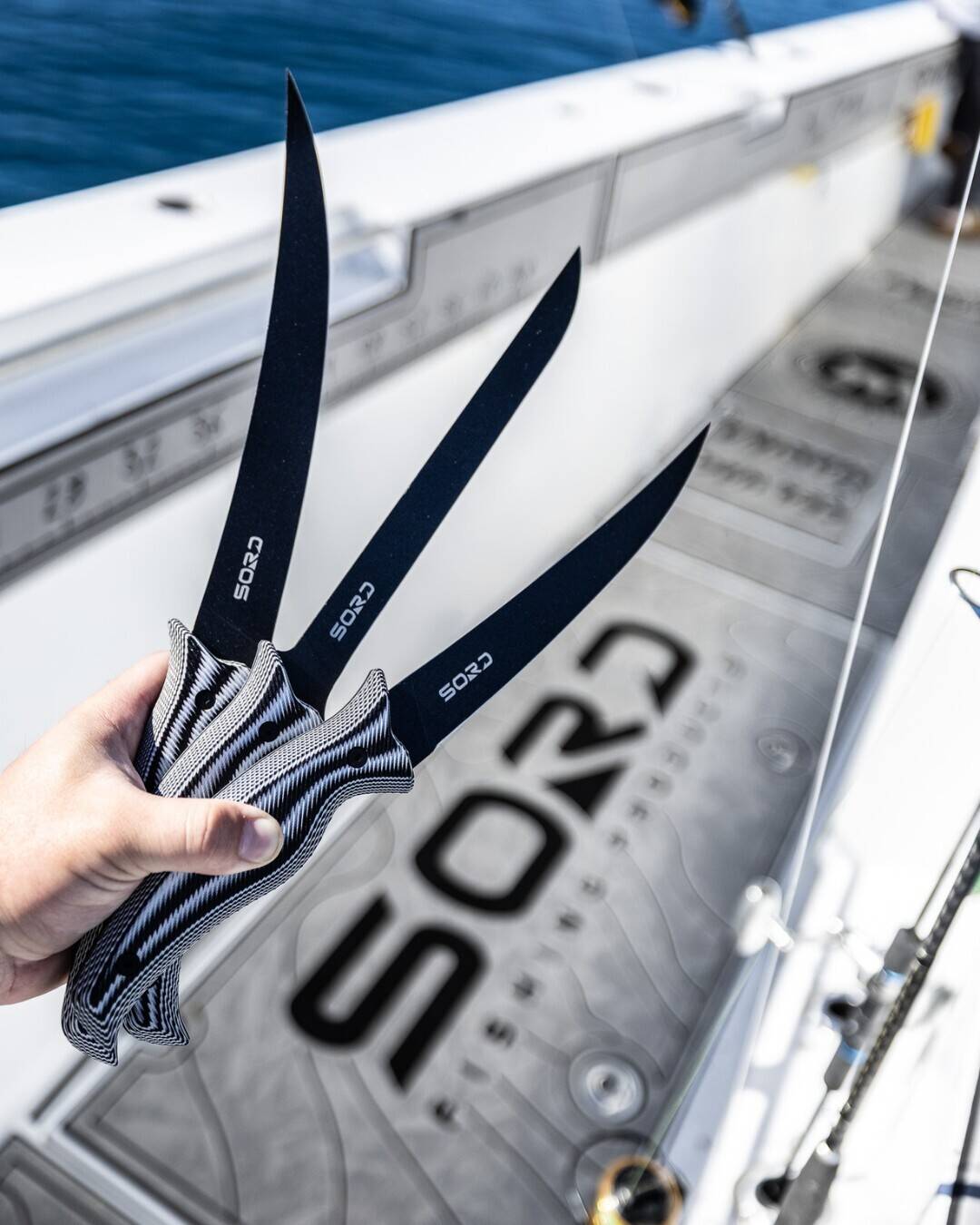 592678490 1596544261575800 8378026684954997495 n