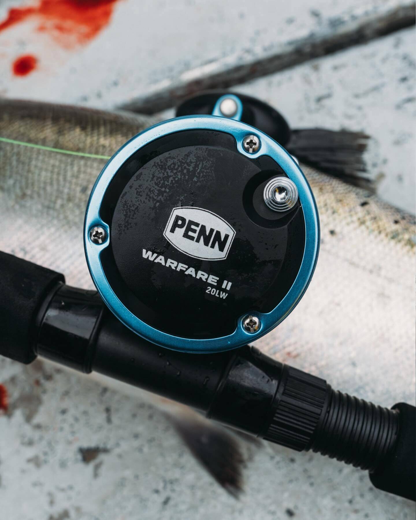 600427203 18537713896005574 608754809936058657 n