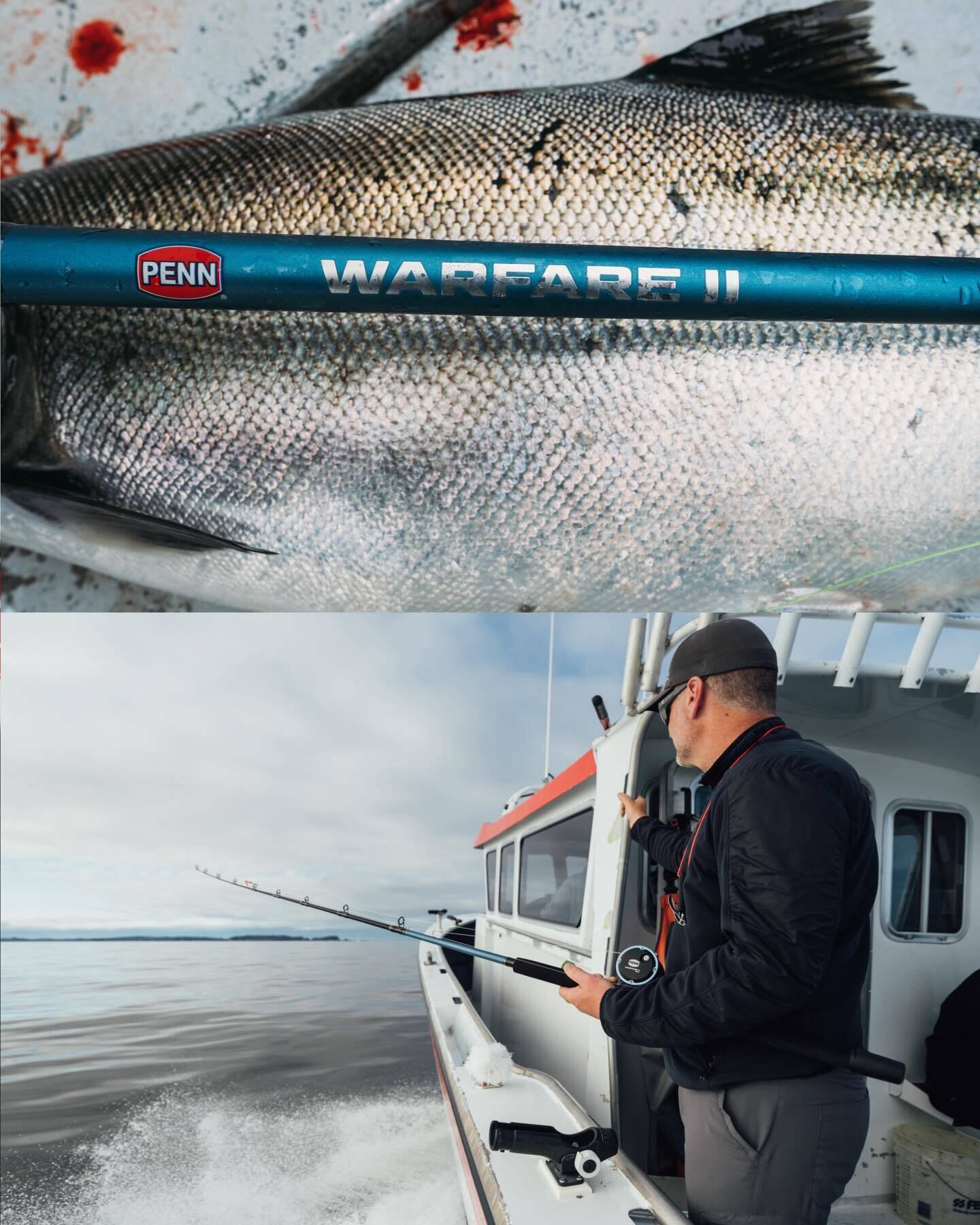 602108719 18537713914005574 2221770325279022030 n