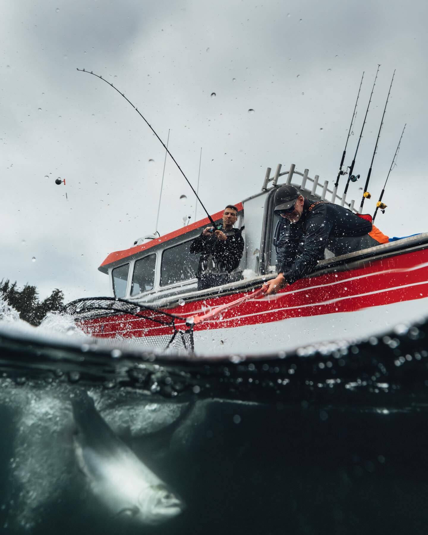 605699048 18537713905005574 3036760196772231161 n