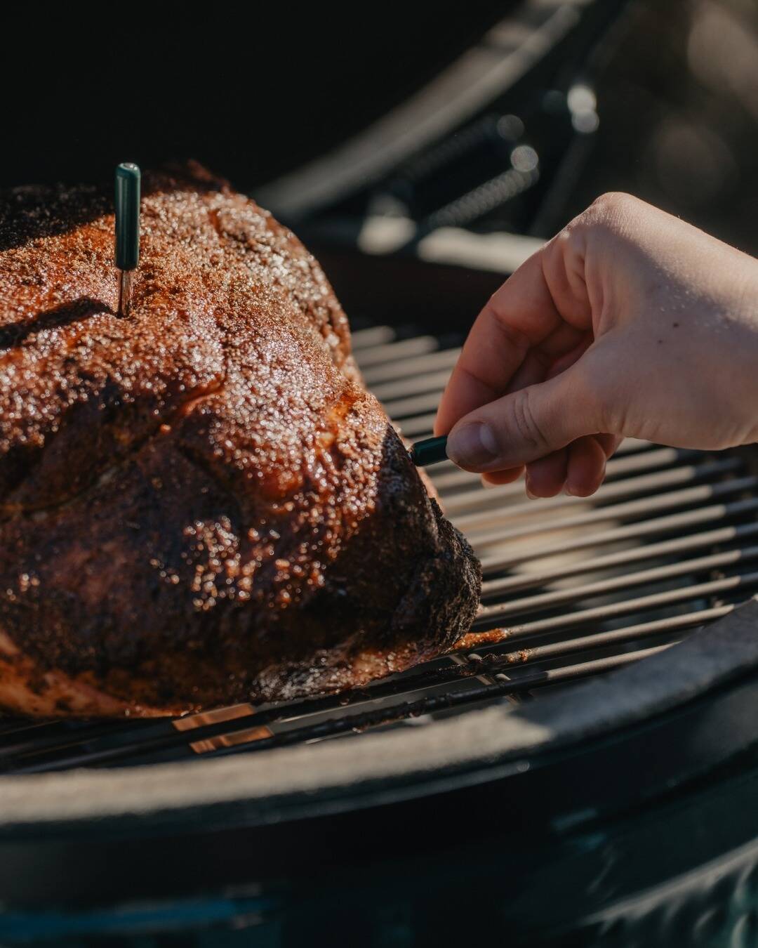 611635517 1777161751118552 7166834076167012638 n