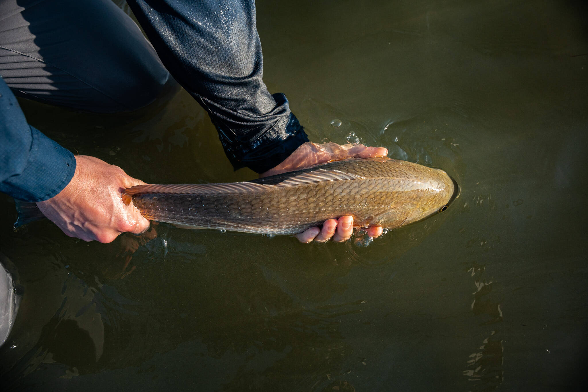 612297319 1409399187864079 938935303643933758 n