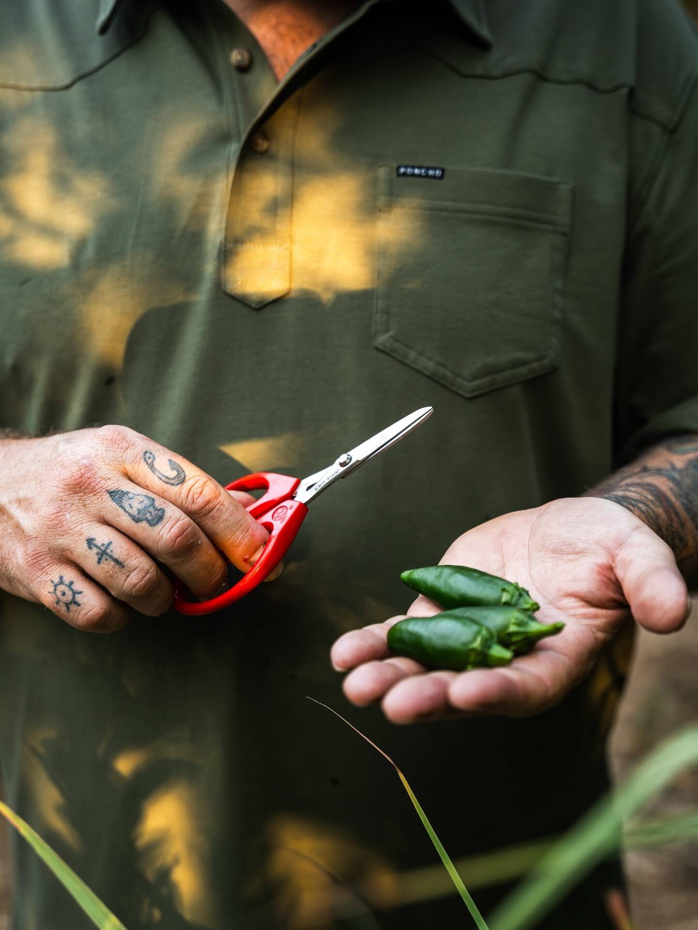 649476426 18330560809220196 8029449291655124188 n