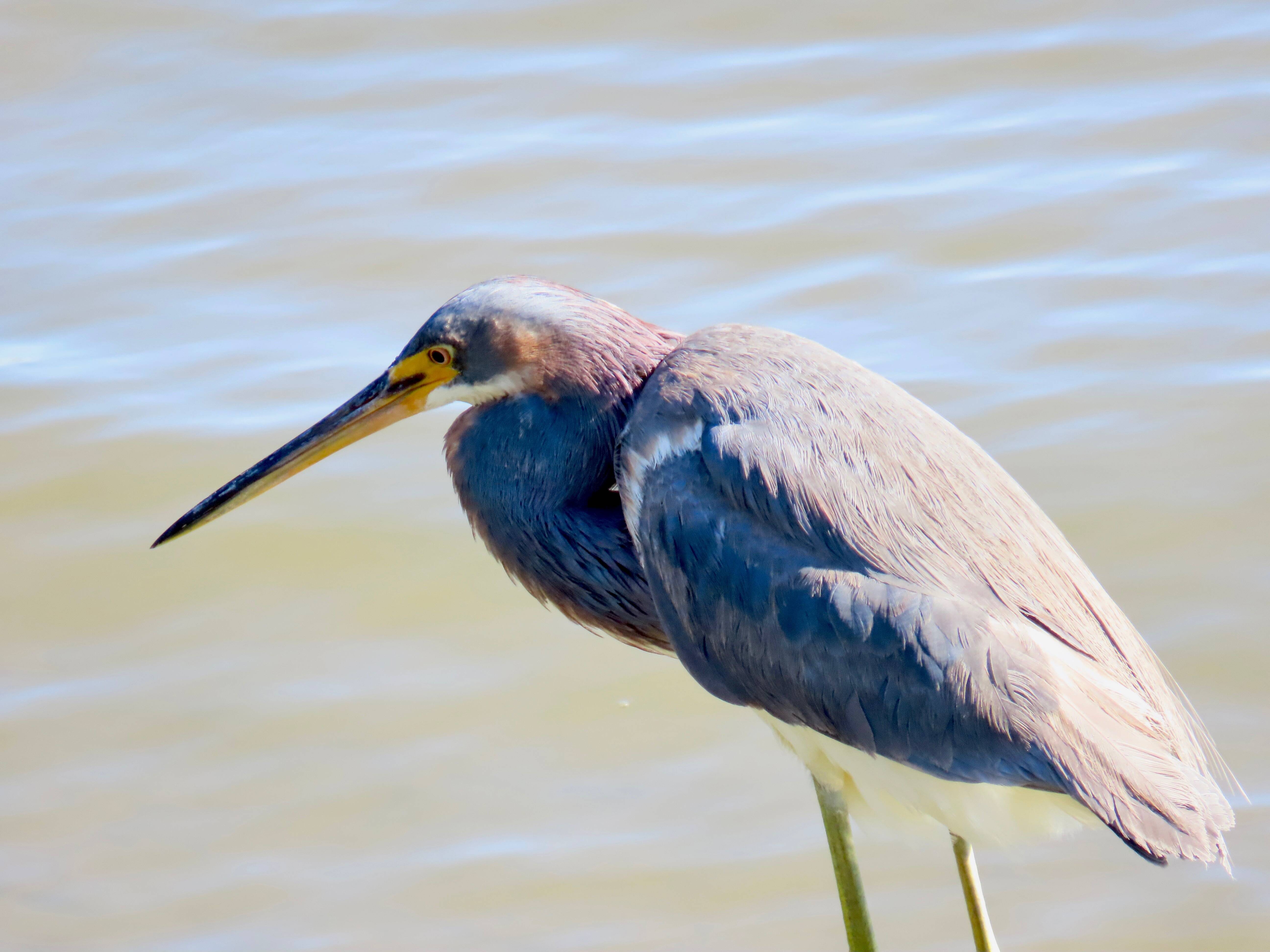 Birding Tours11