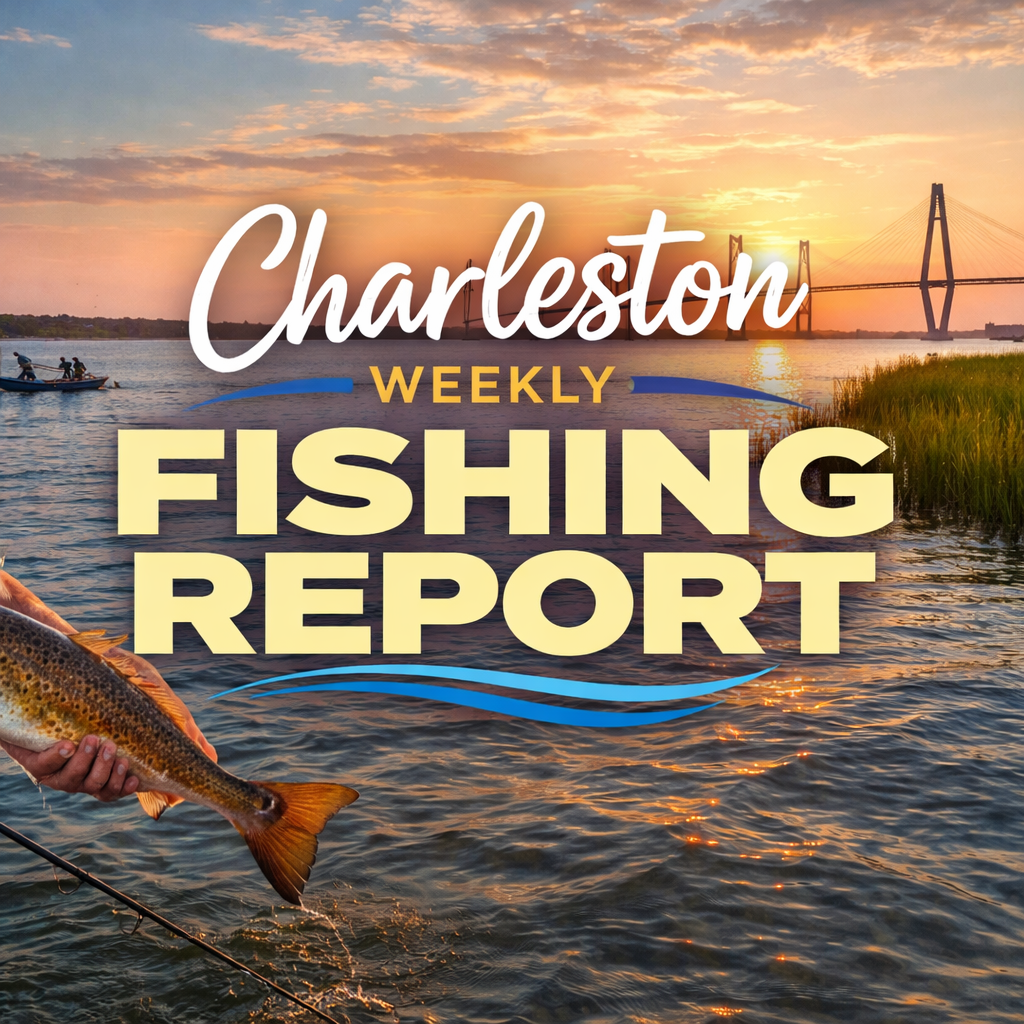 Charleston Insider Weekly Fishing Report