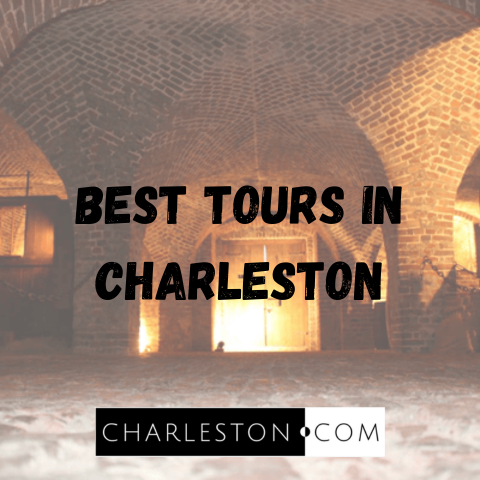 Best Tours and Cruises in Charleston for an Unforgettable Lowcountry Experience