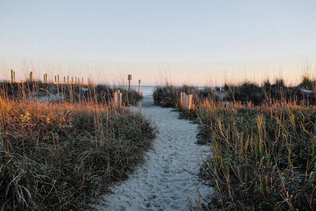 What Artists Love Most About Living in Charleston 2