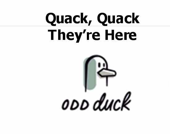 Odd Duck Market Bringing Uniqueness to Park Circle