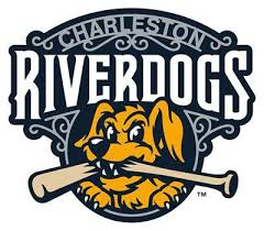 riverdogs logo