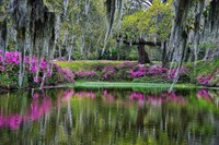 chastravelgardens