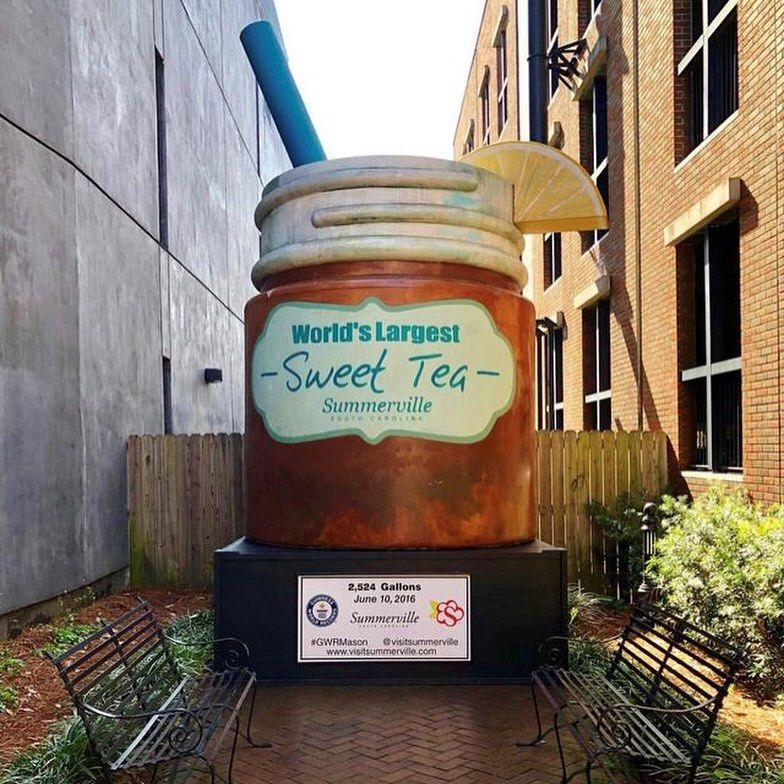 From Camellia to Cup: Summerville's Tea History