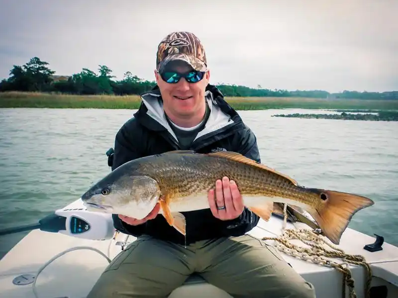 Best Things to Do in Charleston SC