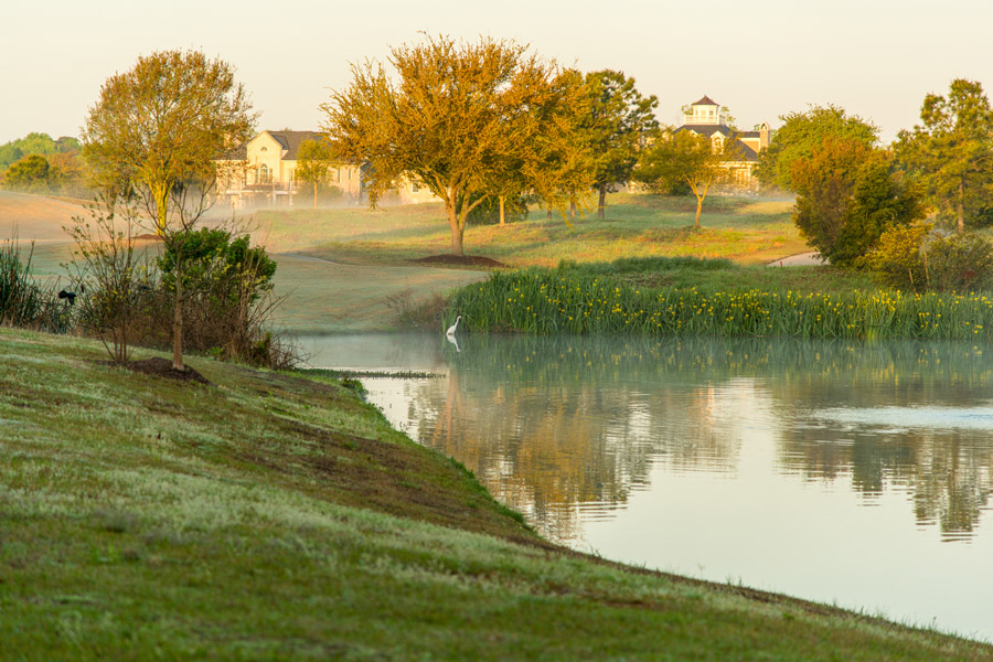 Daniel Island Real Estate