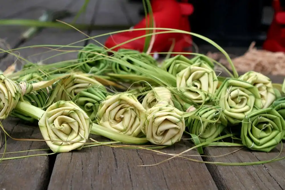 Gullah Geechee Tours | Charleston Area | Charleston.com