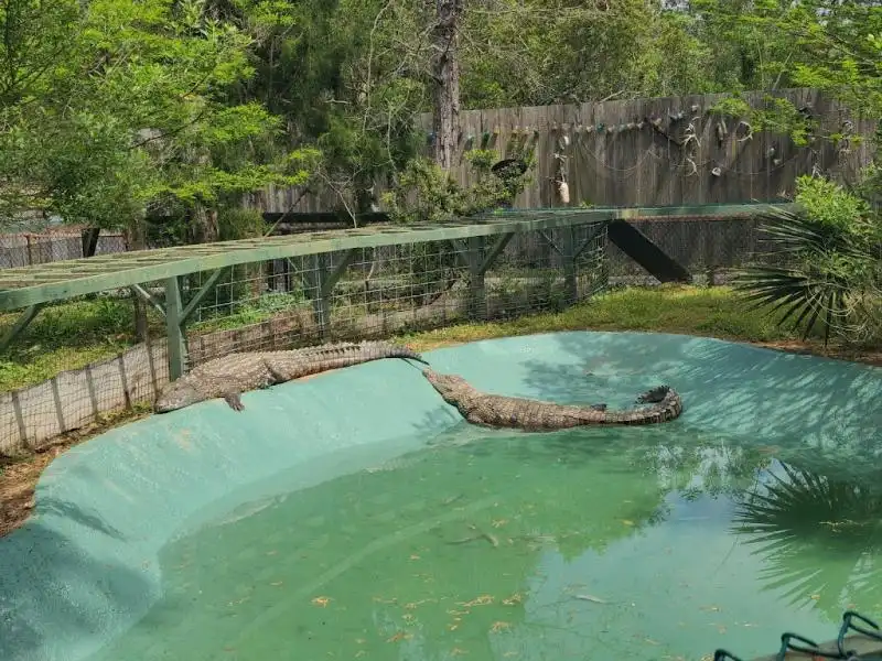 Edisto Island Serpentarium