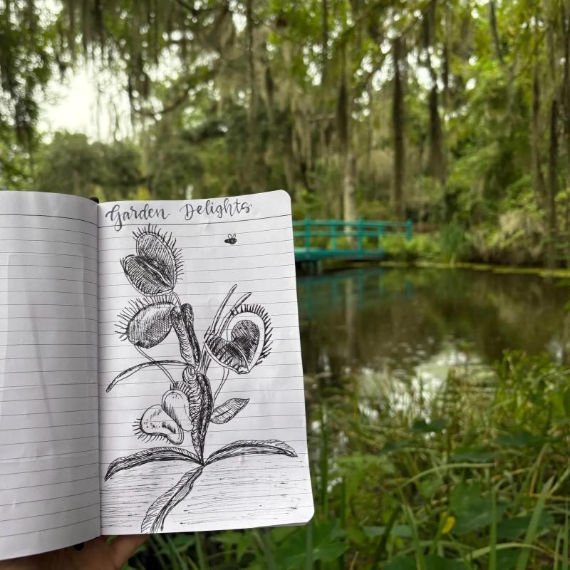 Nature Journaling Workshop