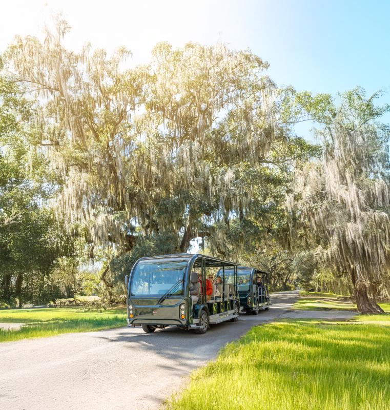 Sensory-Friendly Hour at Magnolia Plantation & Gardens
