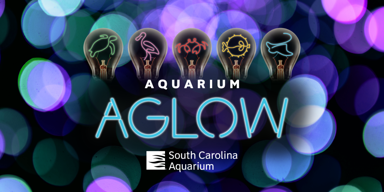 Aquarium Aglow