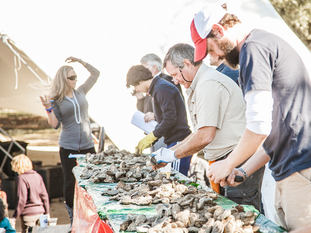 The Lowcountry Oyster Festival
