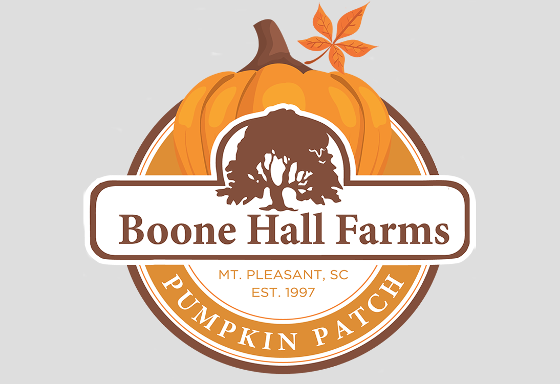 The Boone Hall Pumpkin Patch
