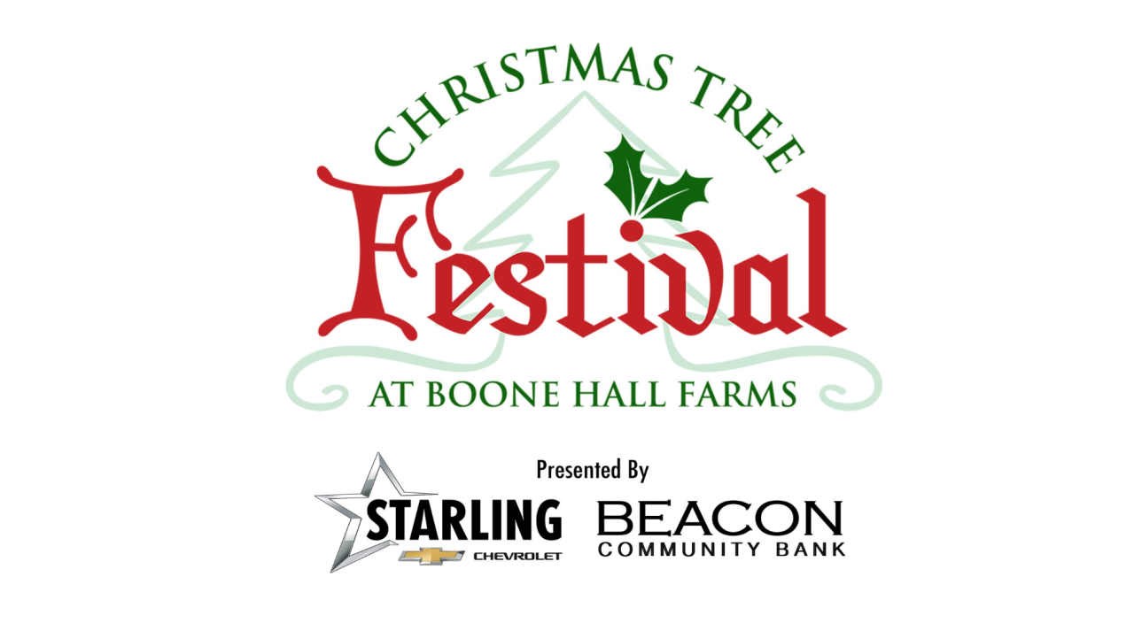 Christmas Tree Festival At Boone Hall Farms